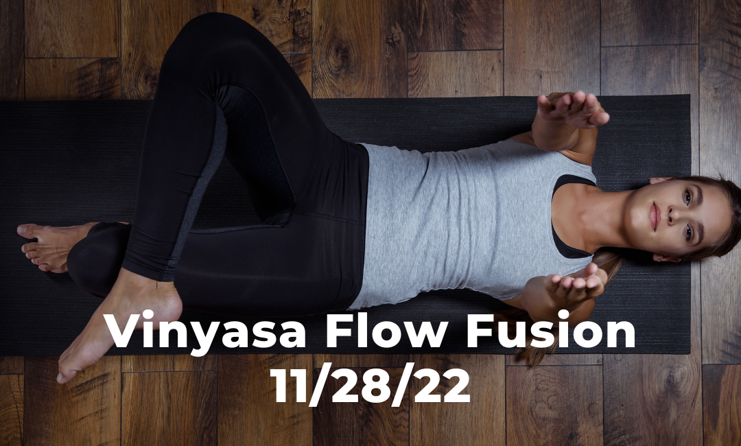 Vinyasa Flow Fusion 11/28/22