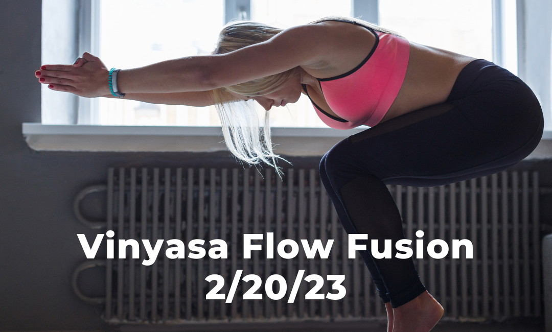 Vinyasa Flow Fusion 2/20/23