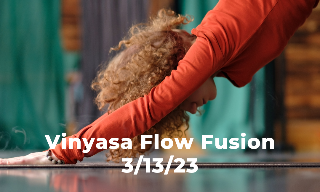 Vinyasa Flow Fusion 3/13/23