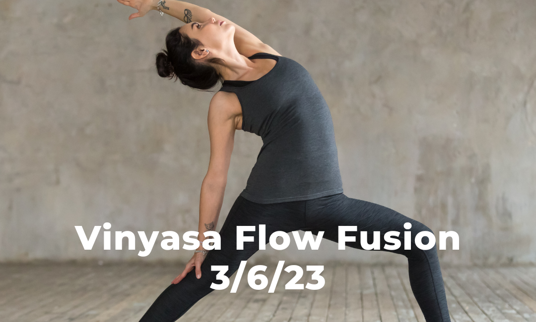 Vinyasa Flow Fusion 3/6/23