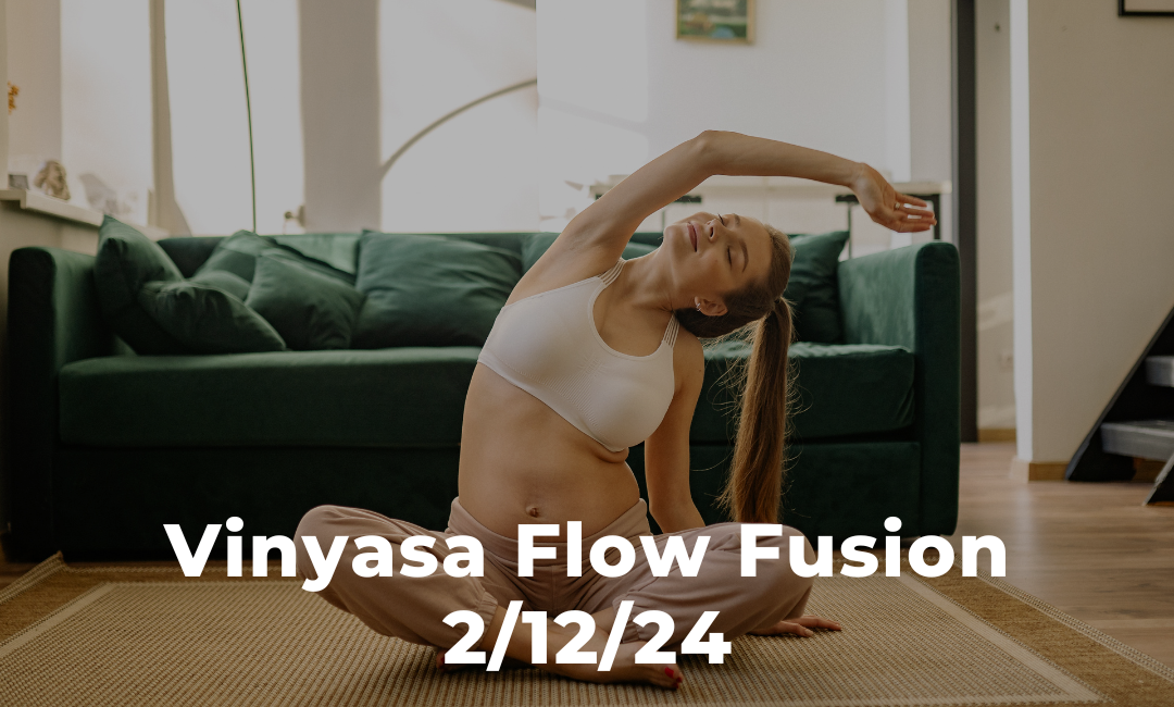 Vinyasa Flow Fusion 2/12/24