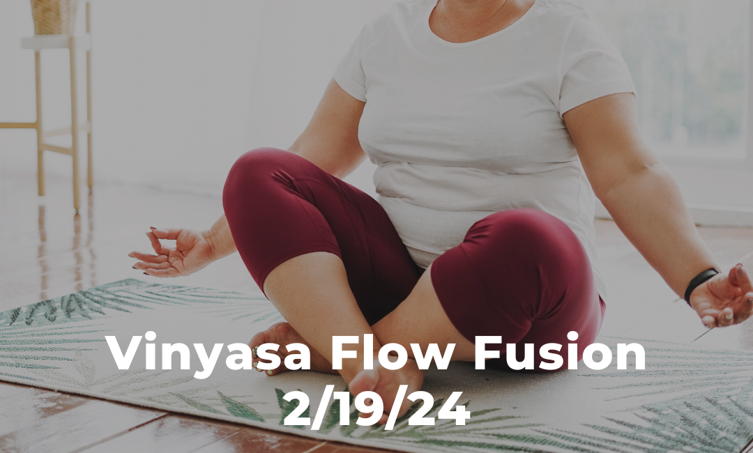 Vinyasa Flow Fusion 2/19/24